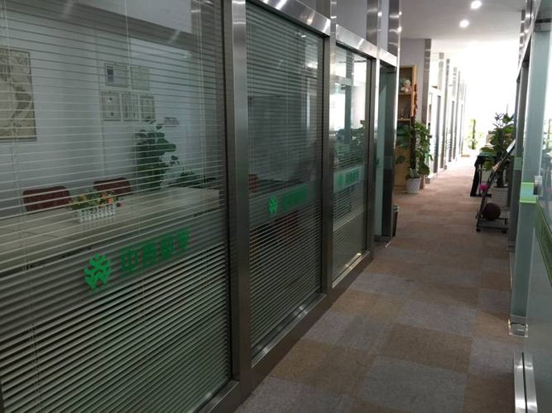 哈佛教育：名校如何为学生铺就未来之路